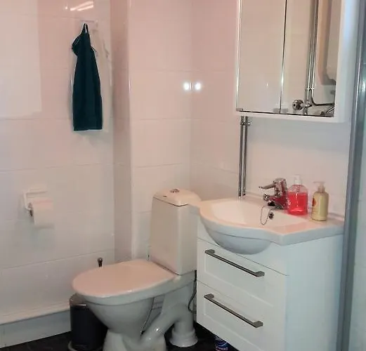 Halkolanniemi * Muurame