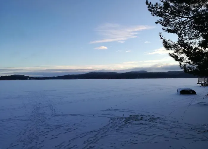 Halkolanniemi Villa Muurame